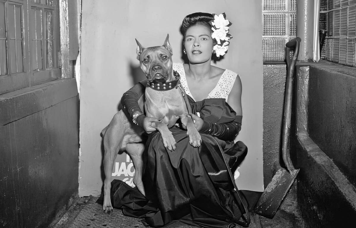 canine companions billie holliday dog