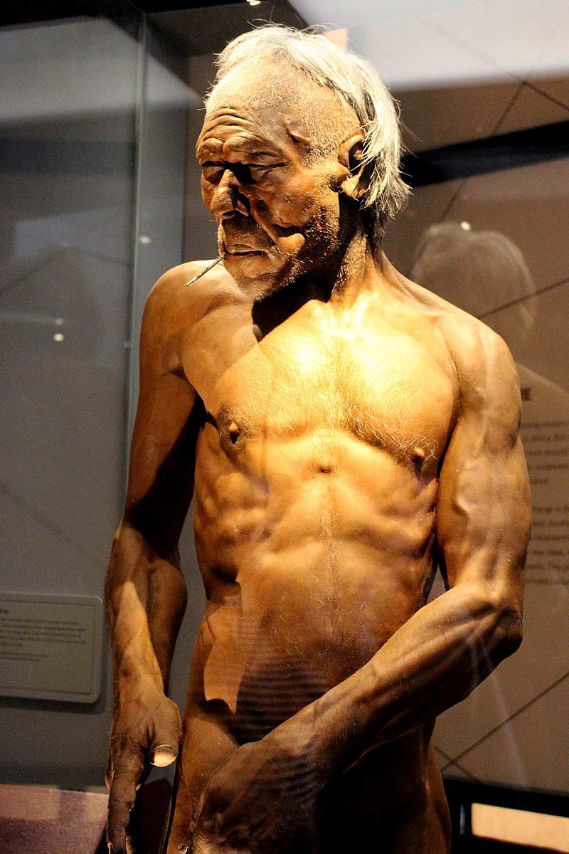 early modern human