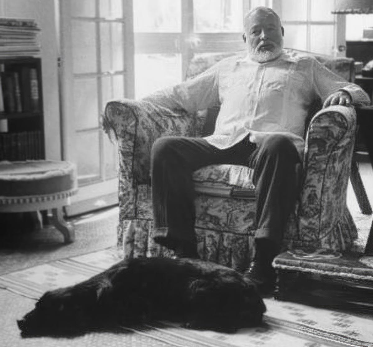 hemmingway black dog