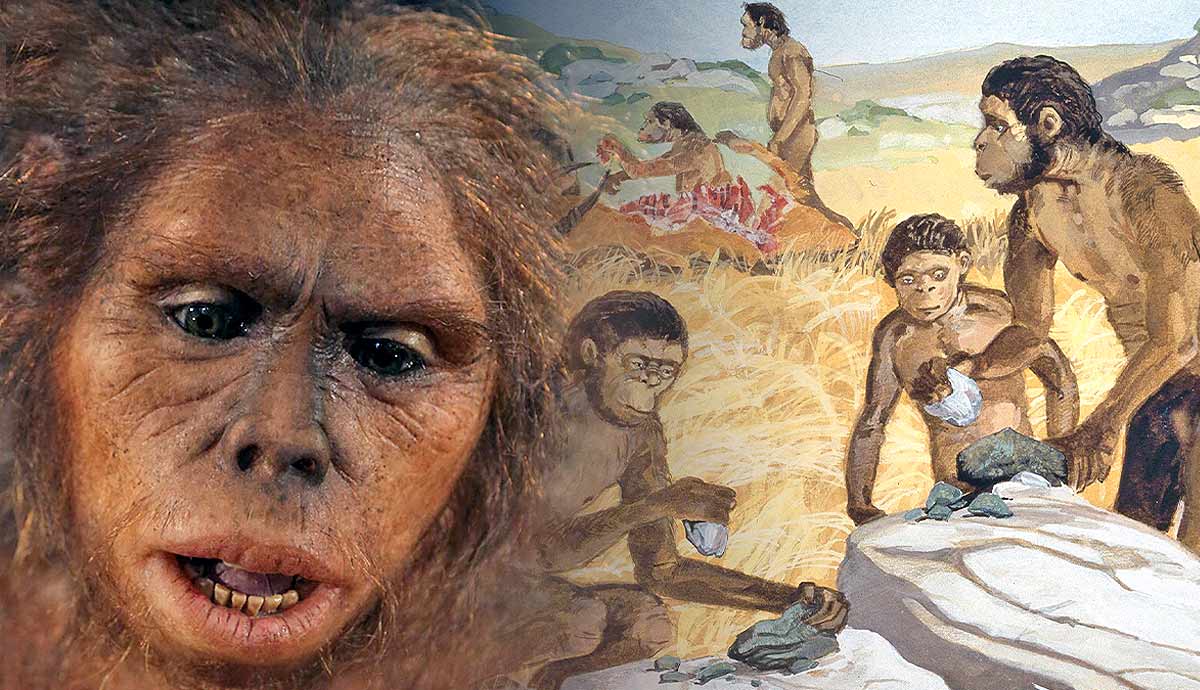 homo habilis first humans