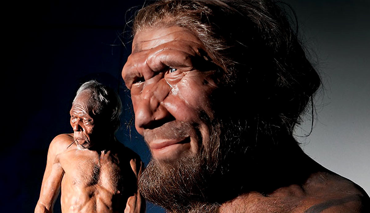 humans neanderthals interbreed