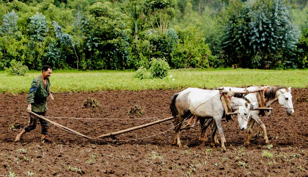 invention revolutionized agriculture