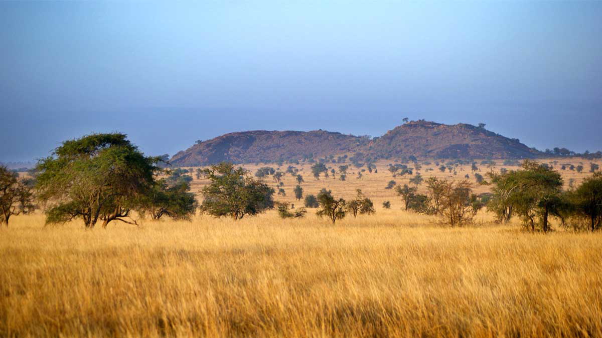 landscape photograph tsavo