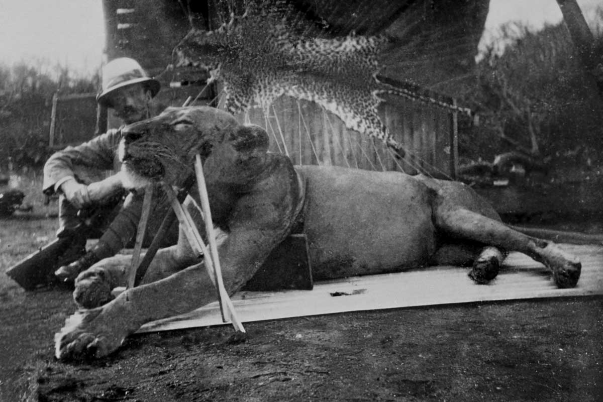 lion col patterson
