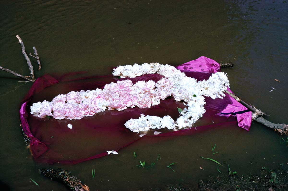 mendieta flower photo