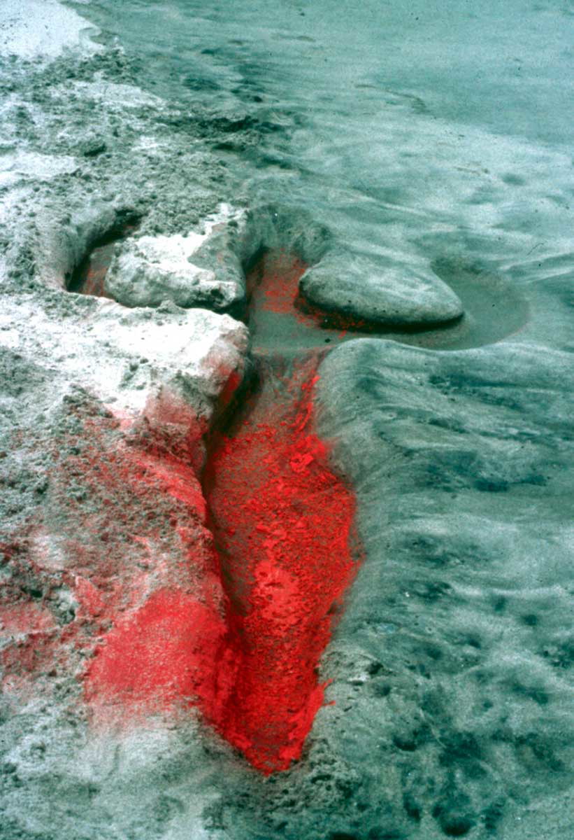 mendieta silueta photo