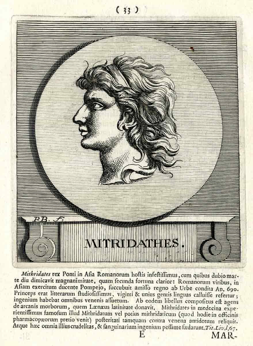 mithradates bodart spoor britishmuseum