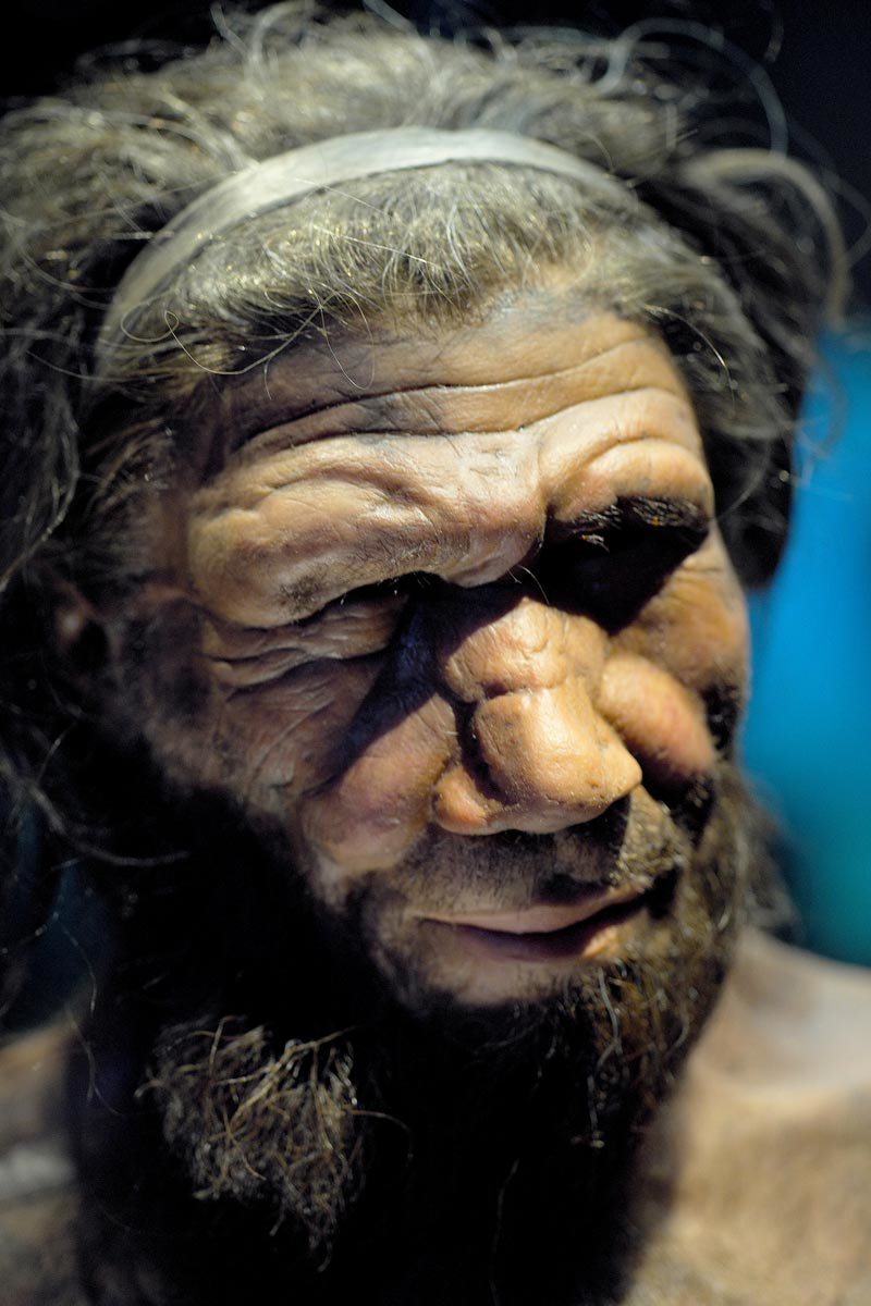 neanderthal man