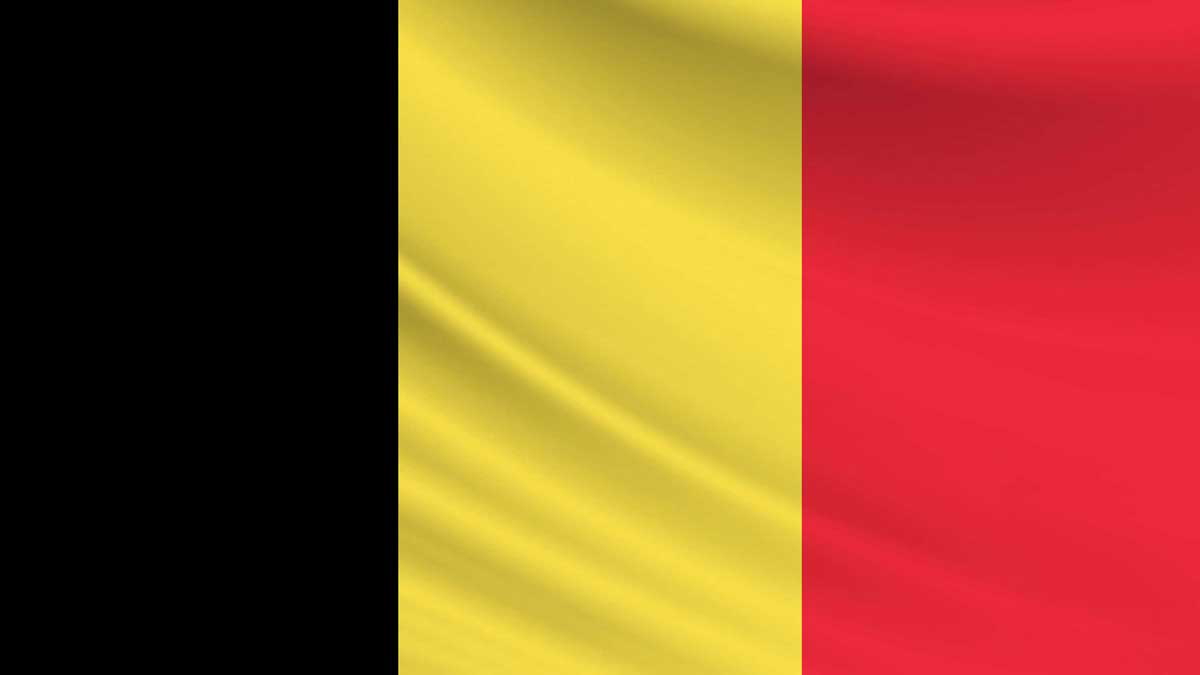 rwandan genocide belgian flag