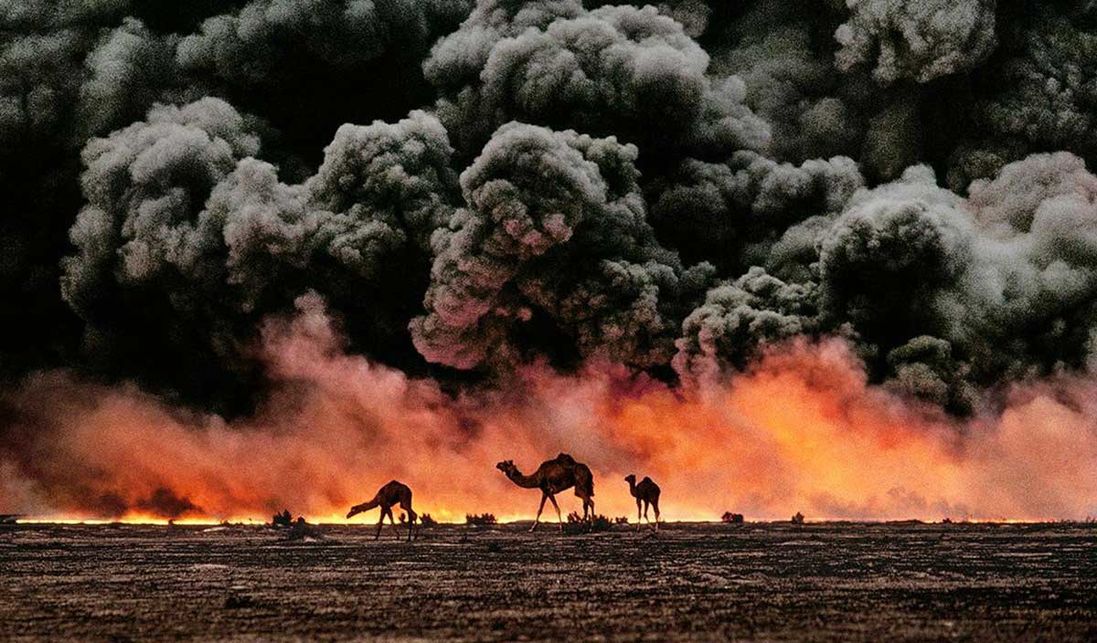steve mccurry camels blackened sky kuwait 1991