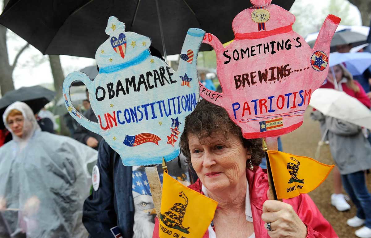 tea party protester gadsden flags