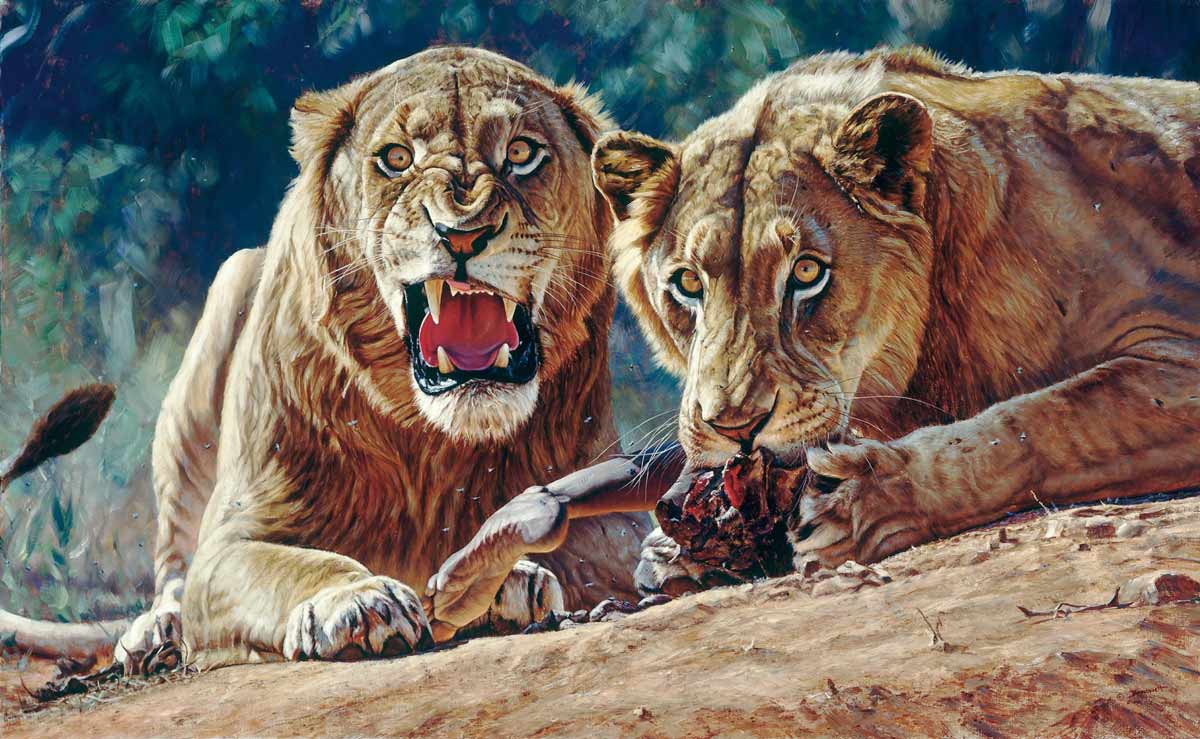 tsavo lions banovich painting