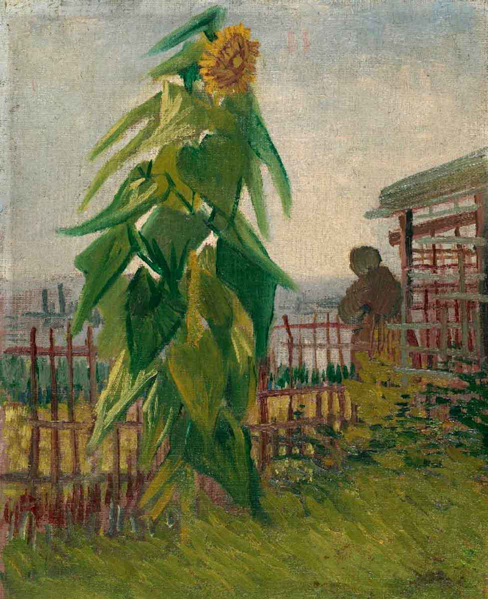 van gogh allotment with sunflower painting