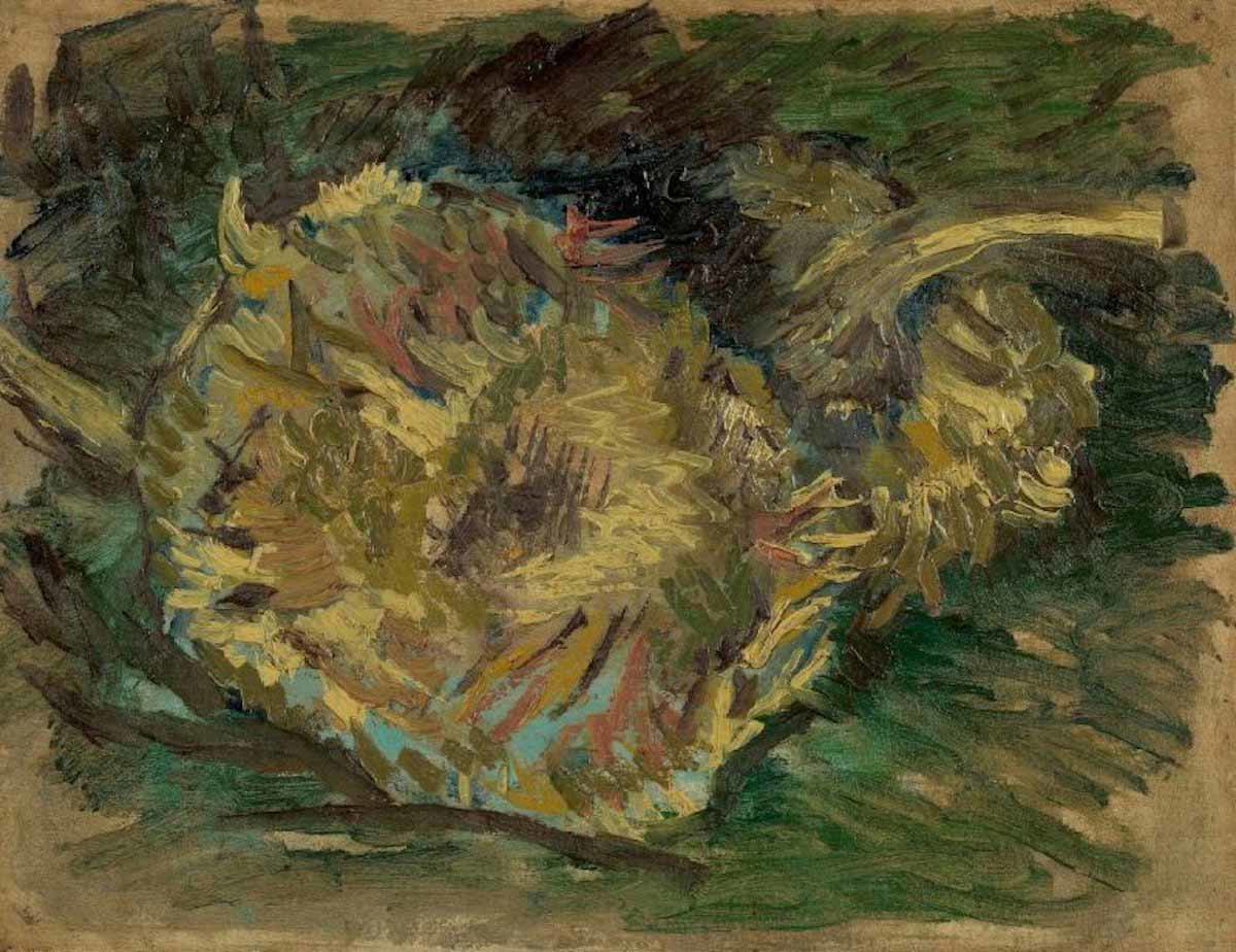 van gogh sunflowers gone to seed