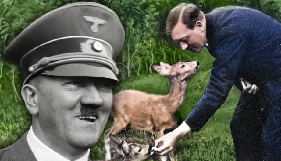15 Surprising Facts About Adolf Hitler The World s Most Hated Man 15-surprising-facts-about-adolf-hitler-the-world-s-most-hated-man