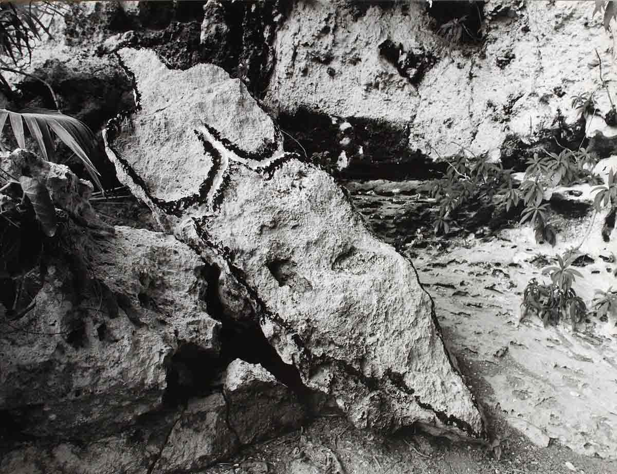 ana mendieta bacayu sculpture