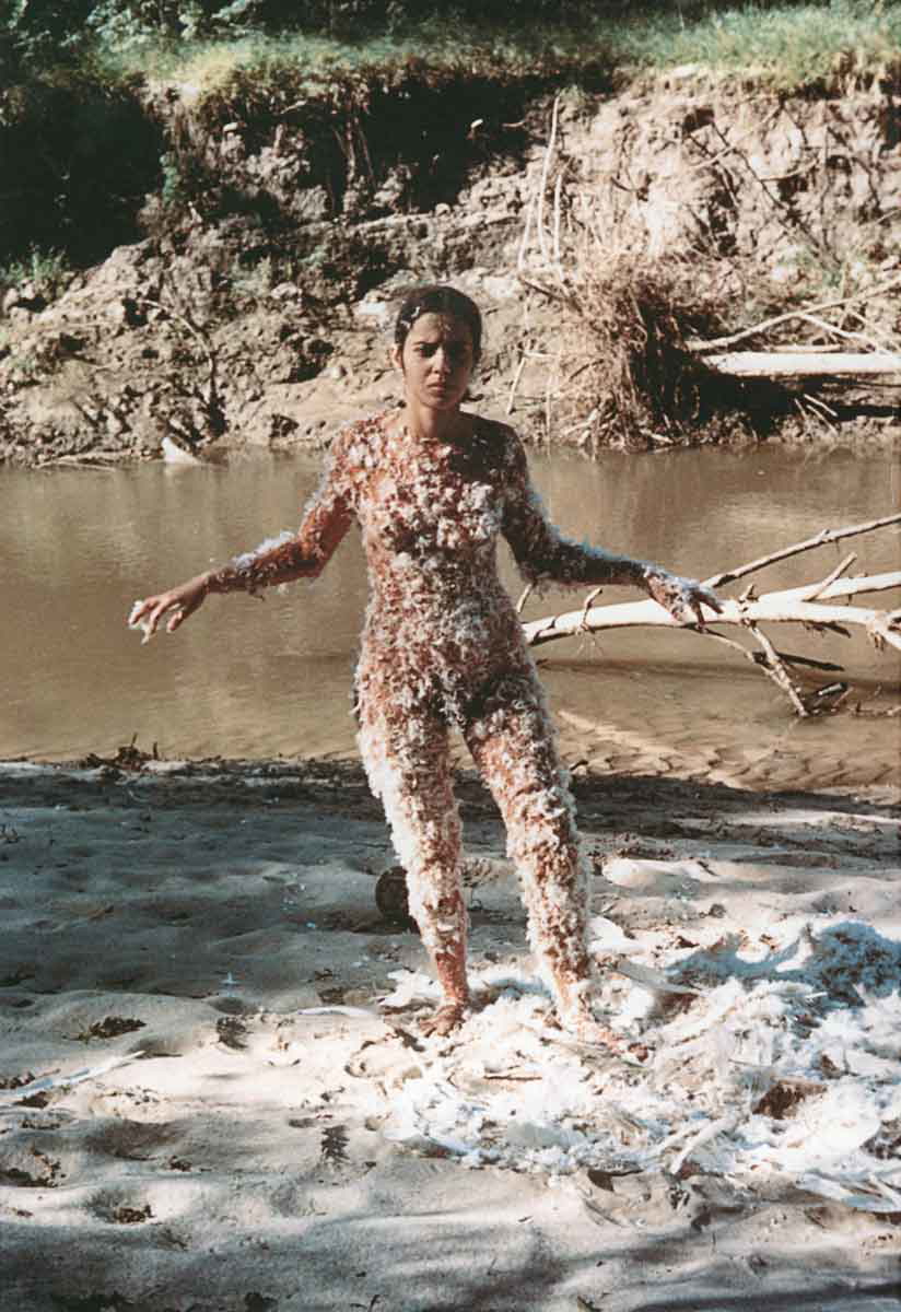 ana mendieta feathers still