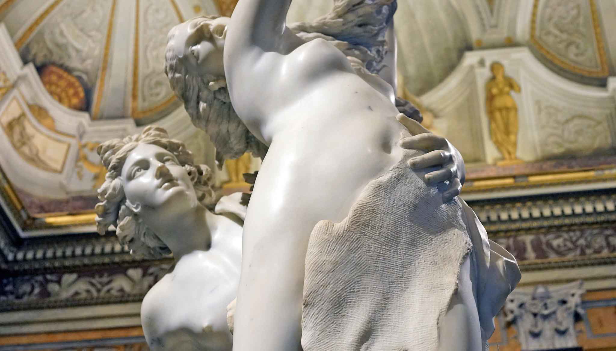 bernini apollo and daphne bark.jpg