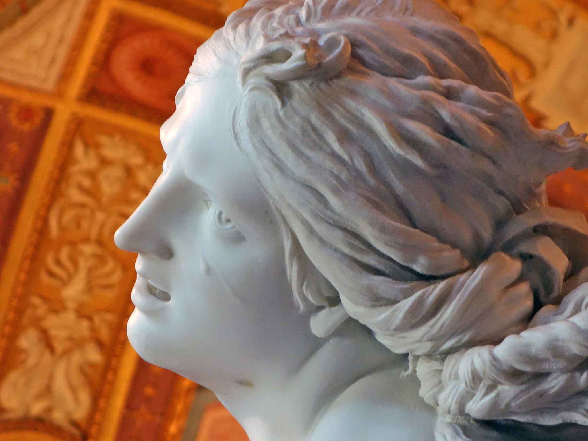 bernini the rape of proserpina tears.jpg
