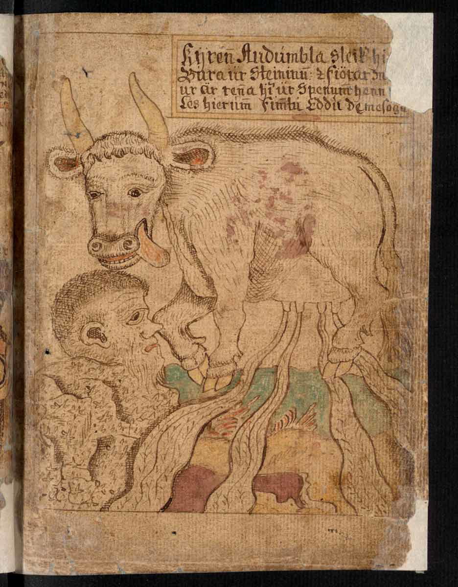 buri emerges primordial goop