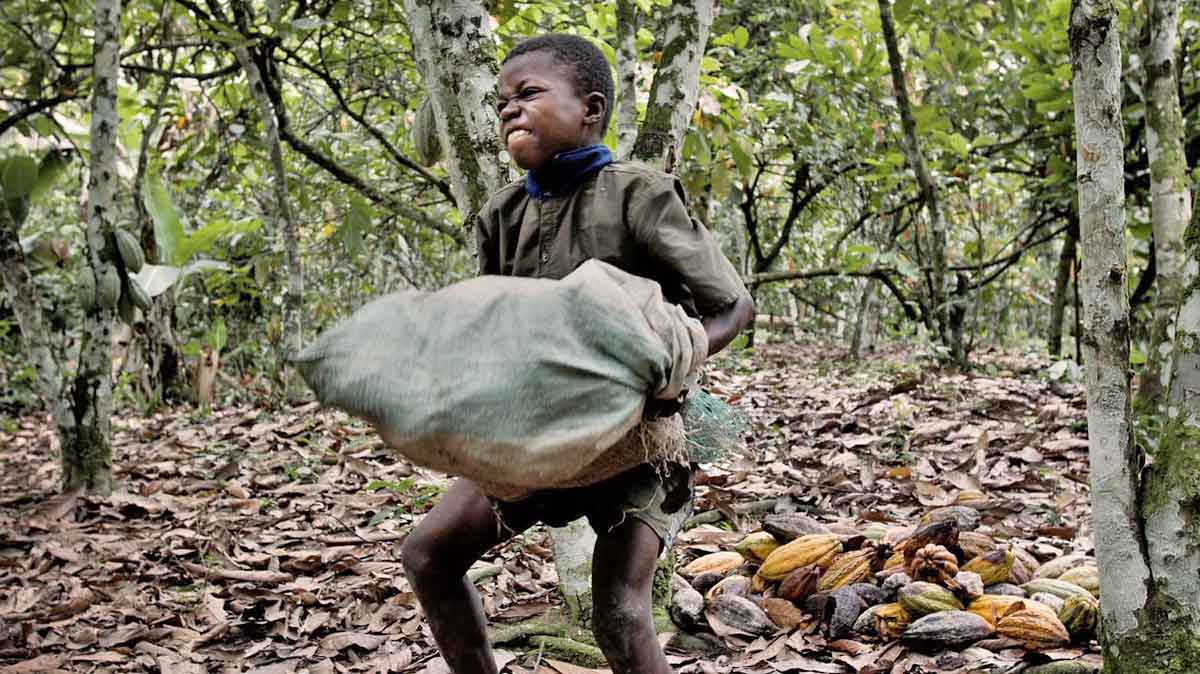 child labor chocolate