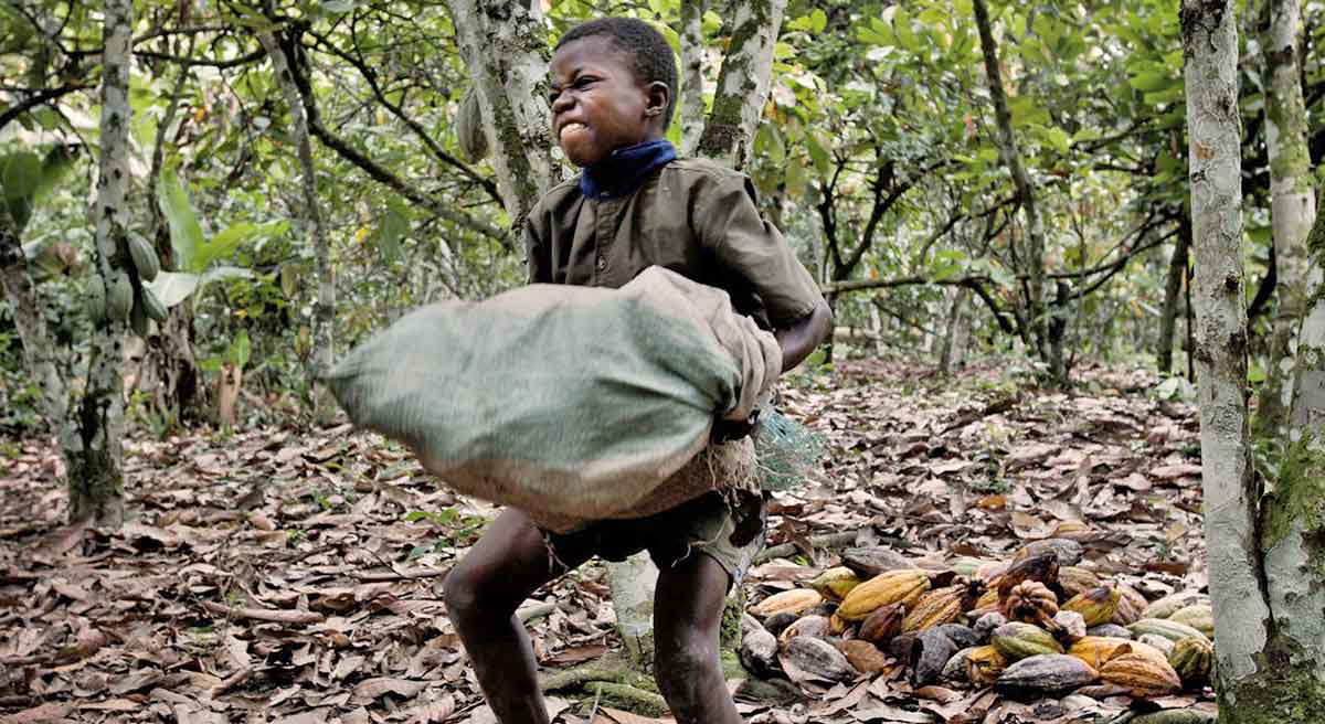 child labor chocolate