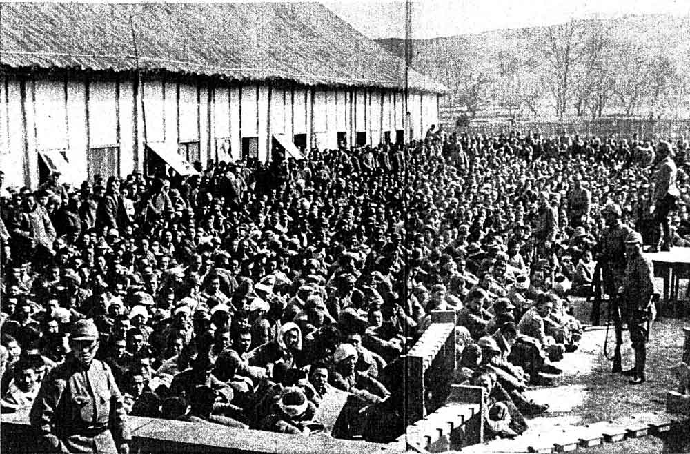 chinese captives in nanking