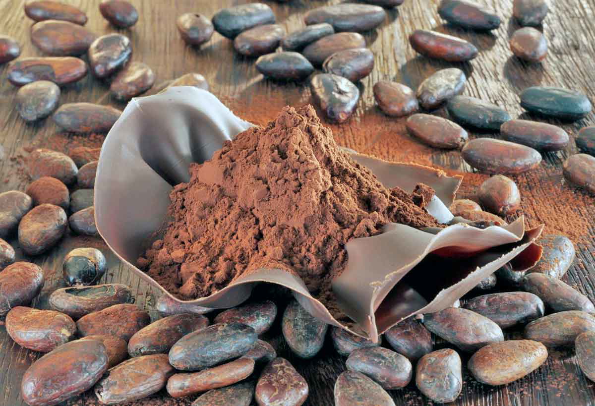 chocolate powder image
