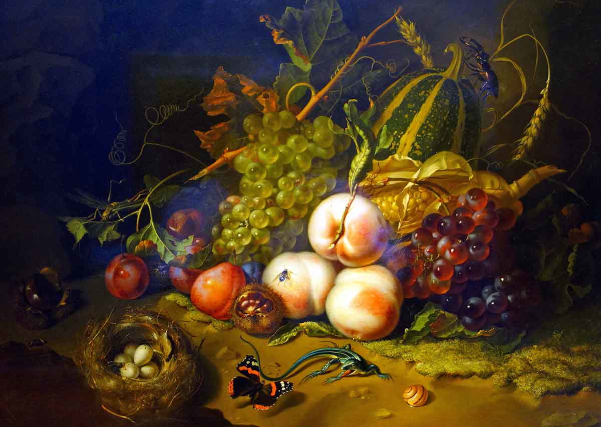 fruit and vegetable still life rachel ruysch
