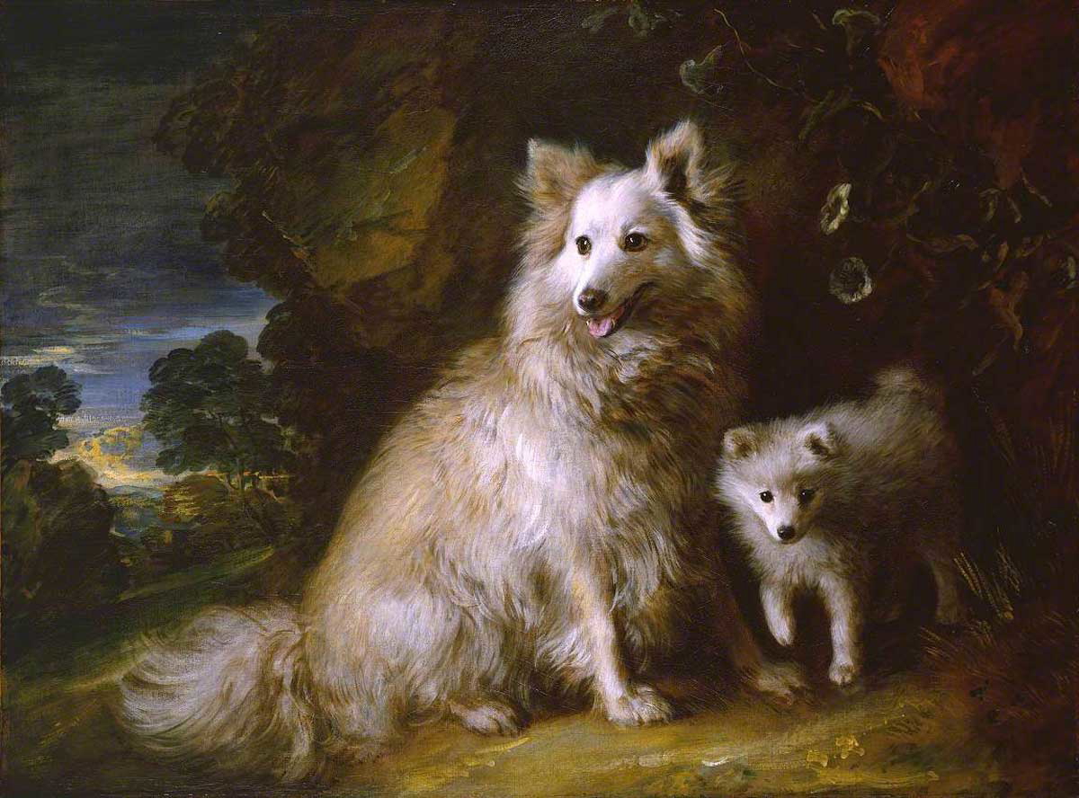gainsborough pomeranian painting