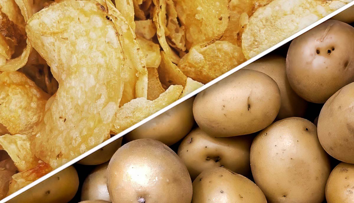 history of potatoes facts