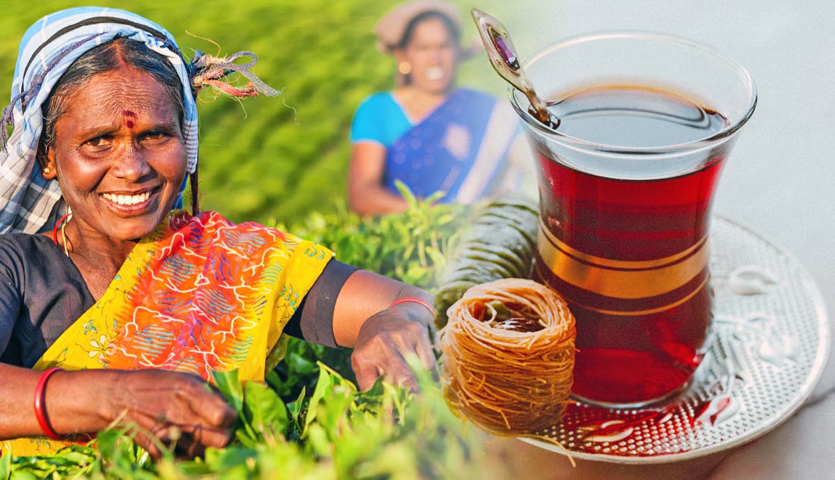 history of tea facts