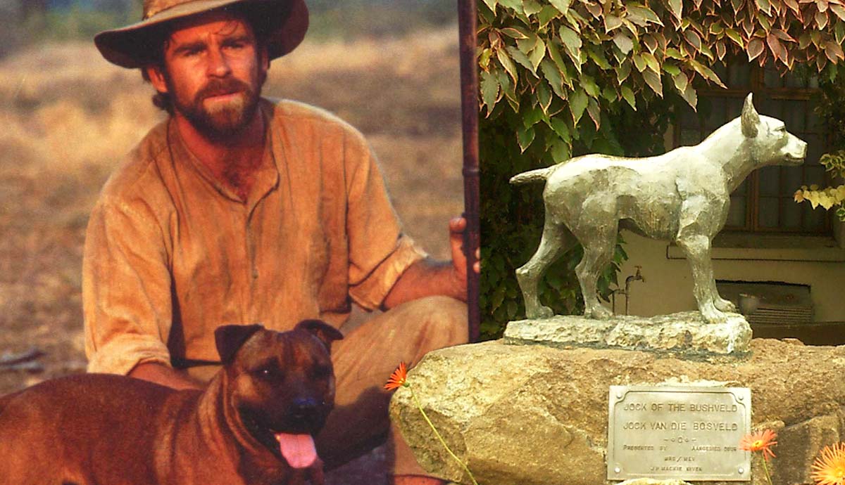 jock of the bushveld tale friendship