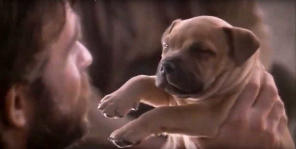 jock puppy 1986