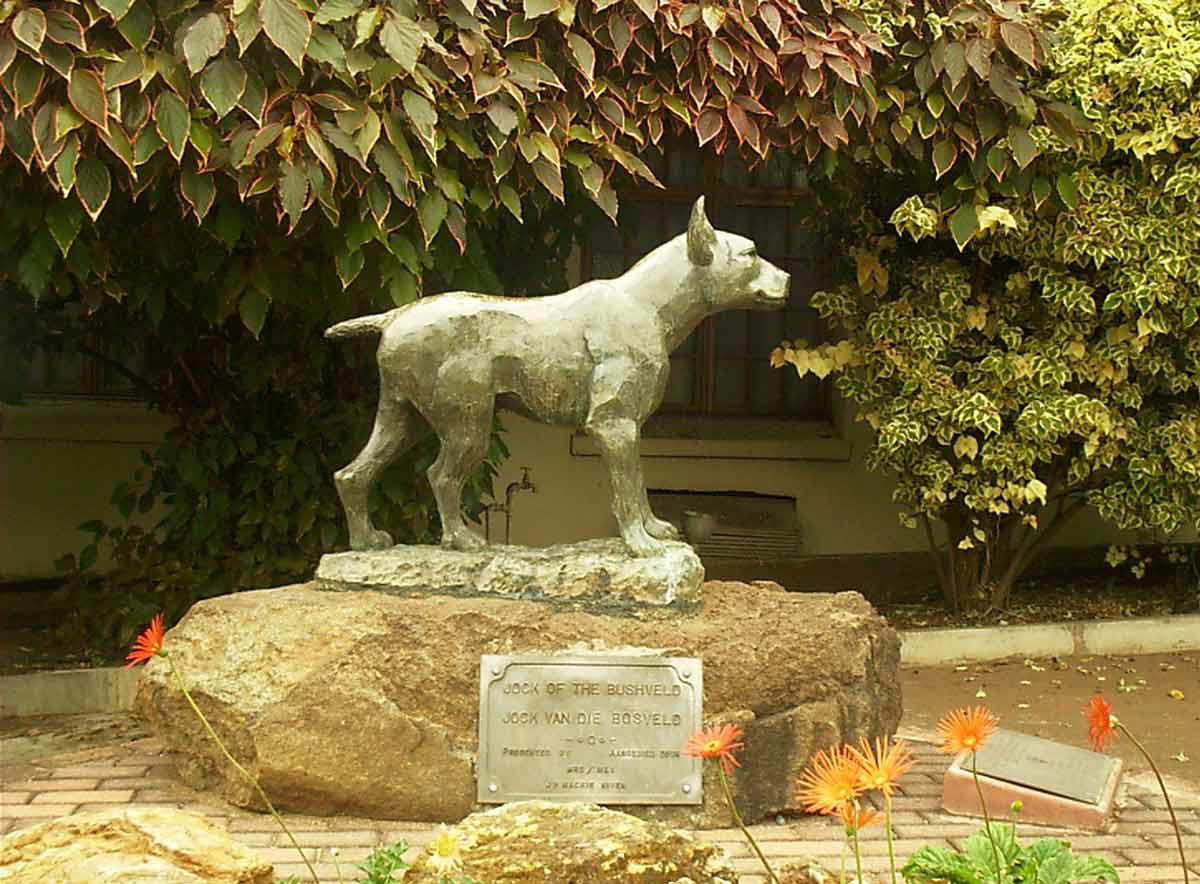 jock statue image