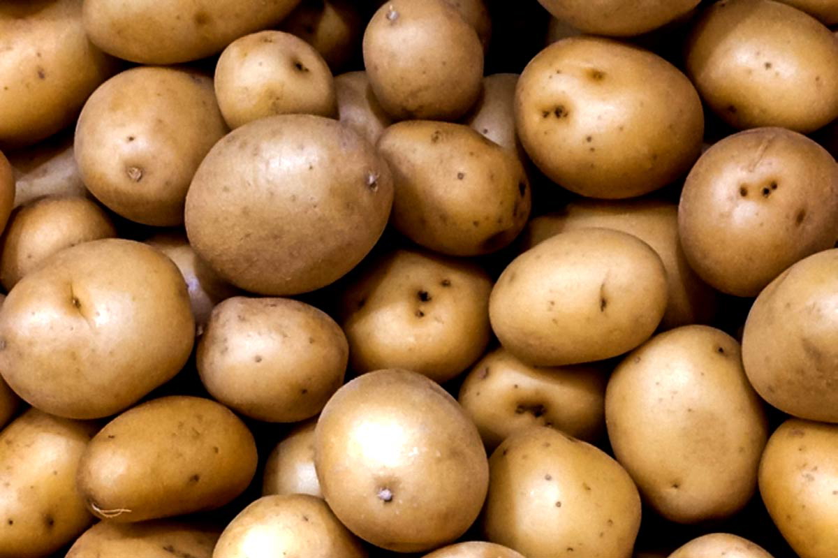 lots of yummy potatoes