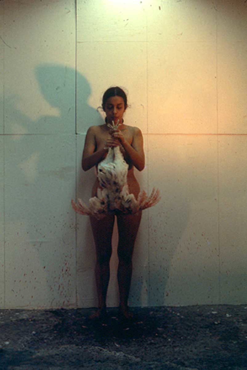 mendieta chicken still
