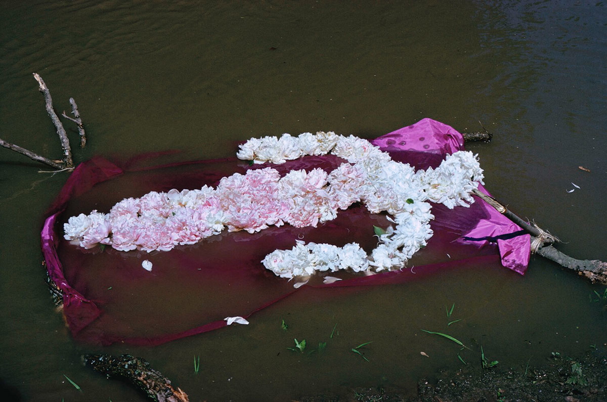 mendieta flower photo