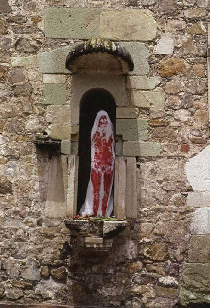 Why Did Ana Mendieta Use Blood in Her Works?