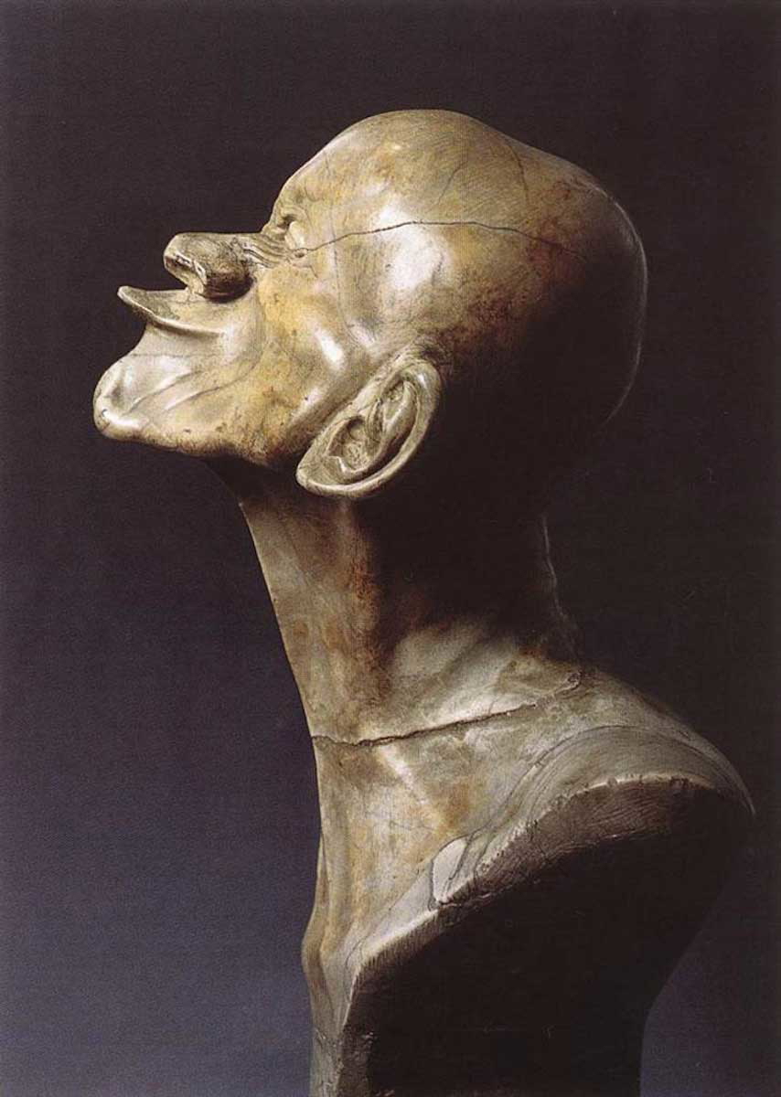 messerschmidt beaked sculpture