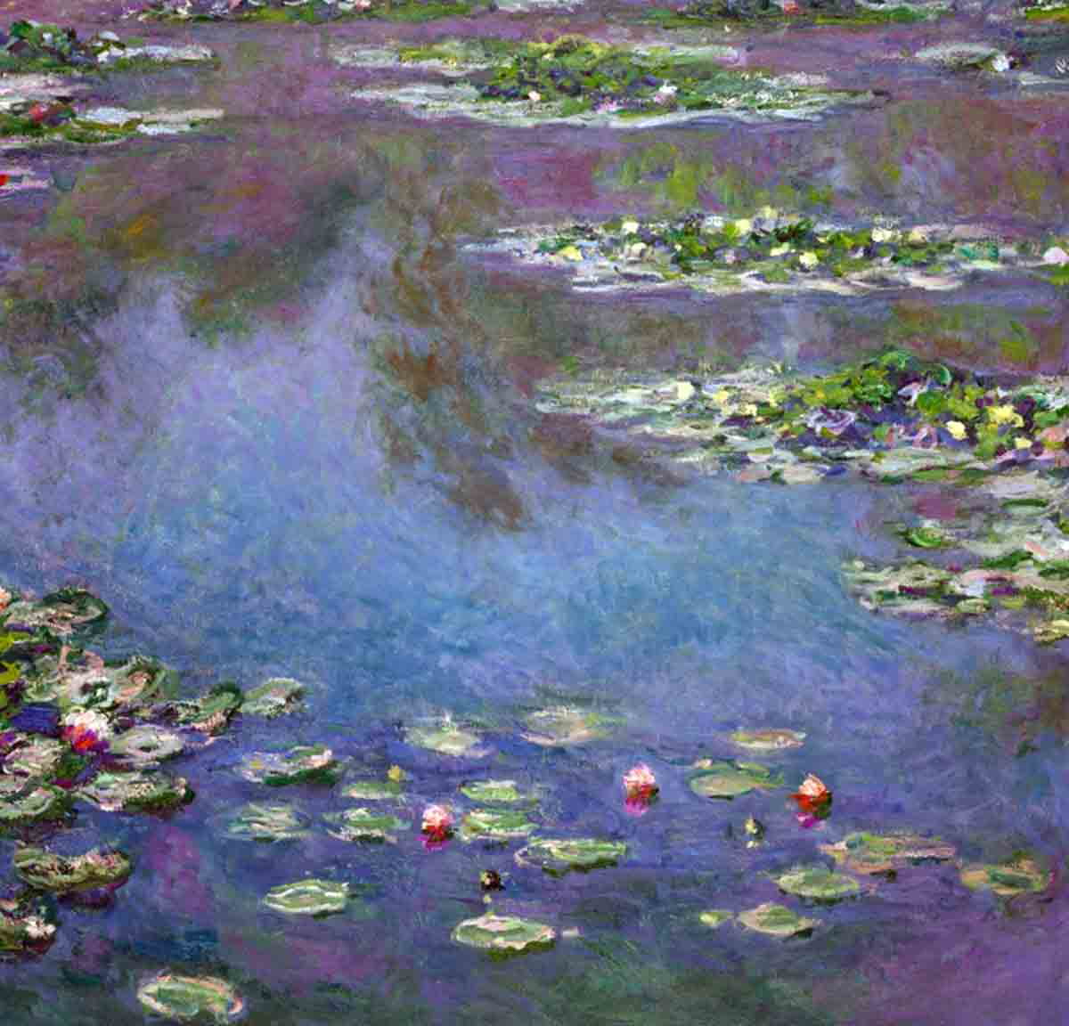 monet water lilies