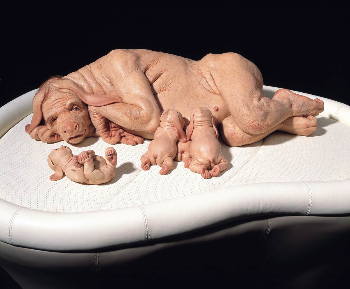 patricia piccinini the young family