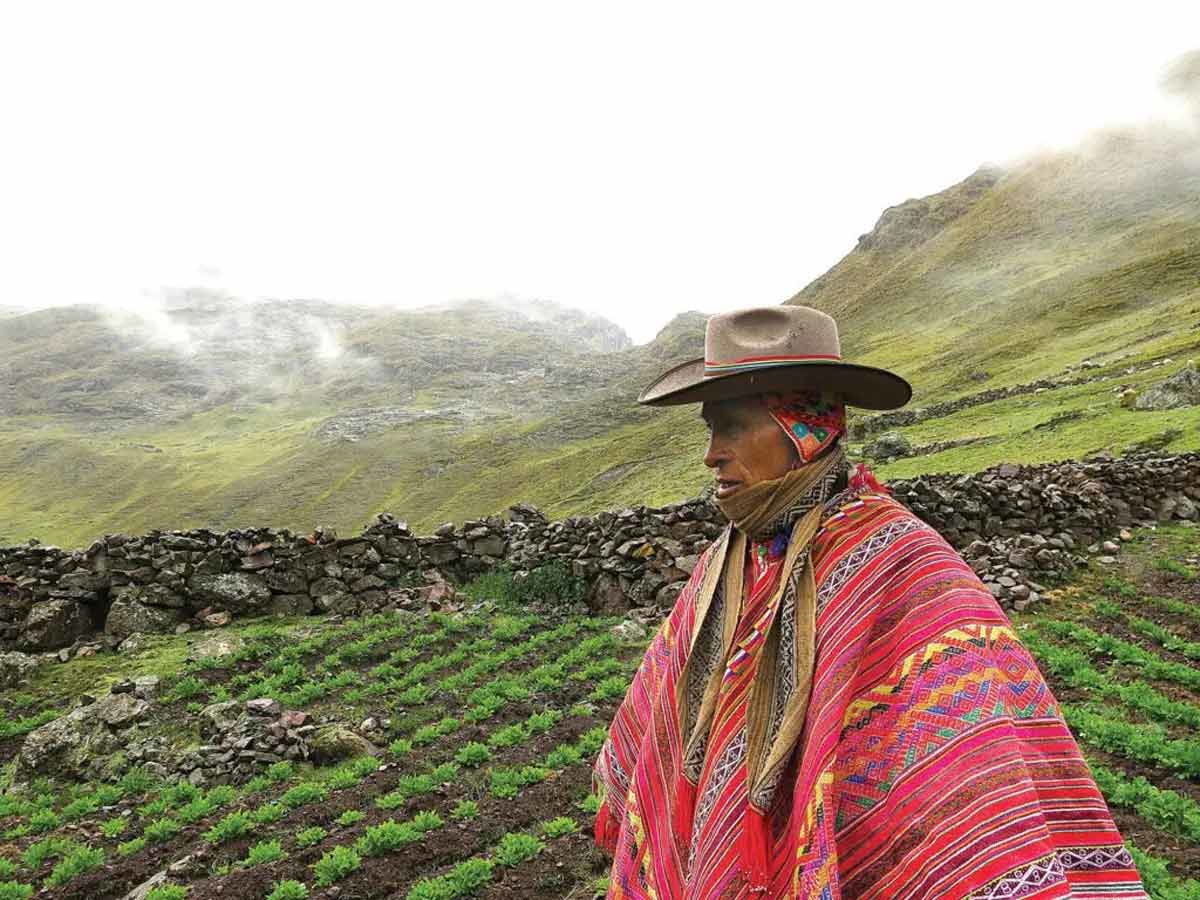 peruvian farmer andes