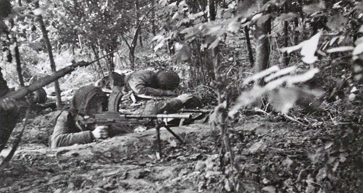 polish market garden