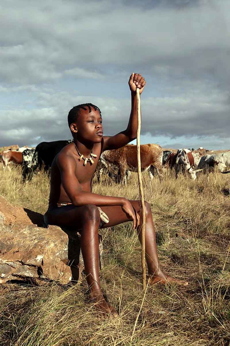 shaka boy cattle