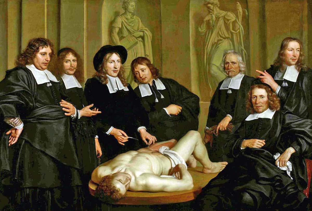 the anatomy lesson frederik ruysch baecker