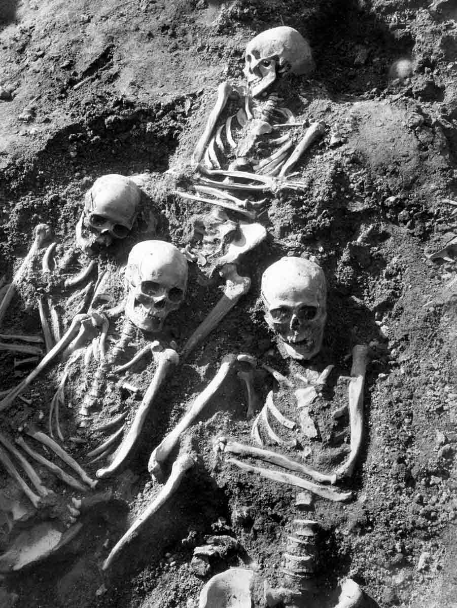 viking skeletons greenland