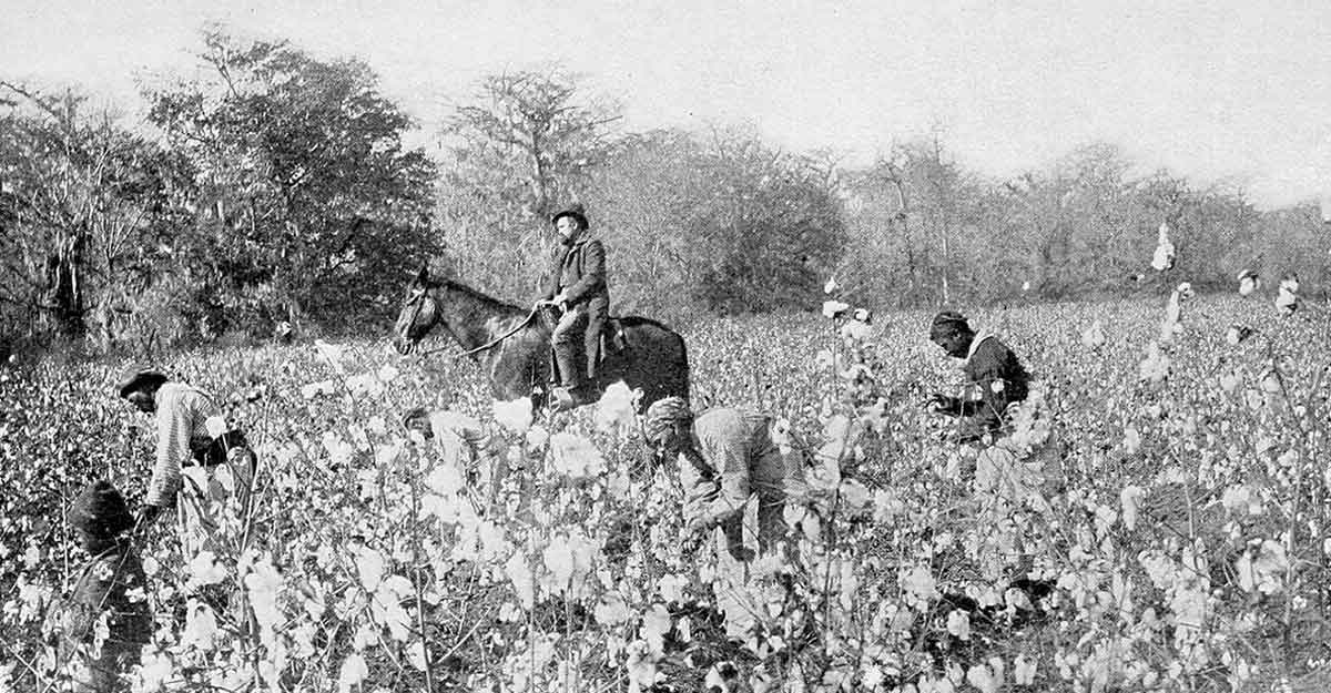 Black cotton pickers and a white overseer in Mississippi, 1898, Source: Wikimedia Commons