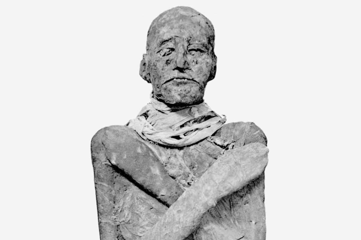 Ramesses III mummy