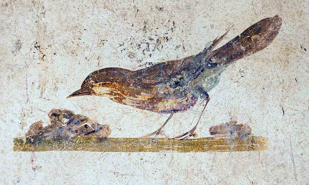 ancient roman bird